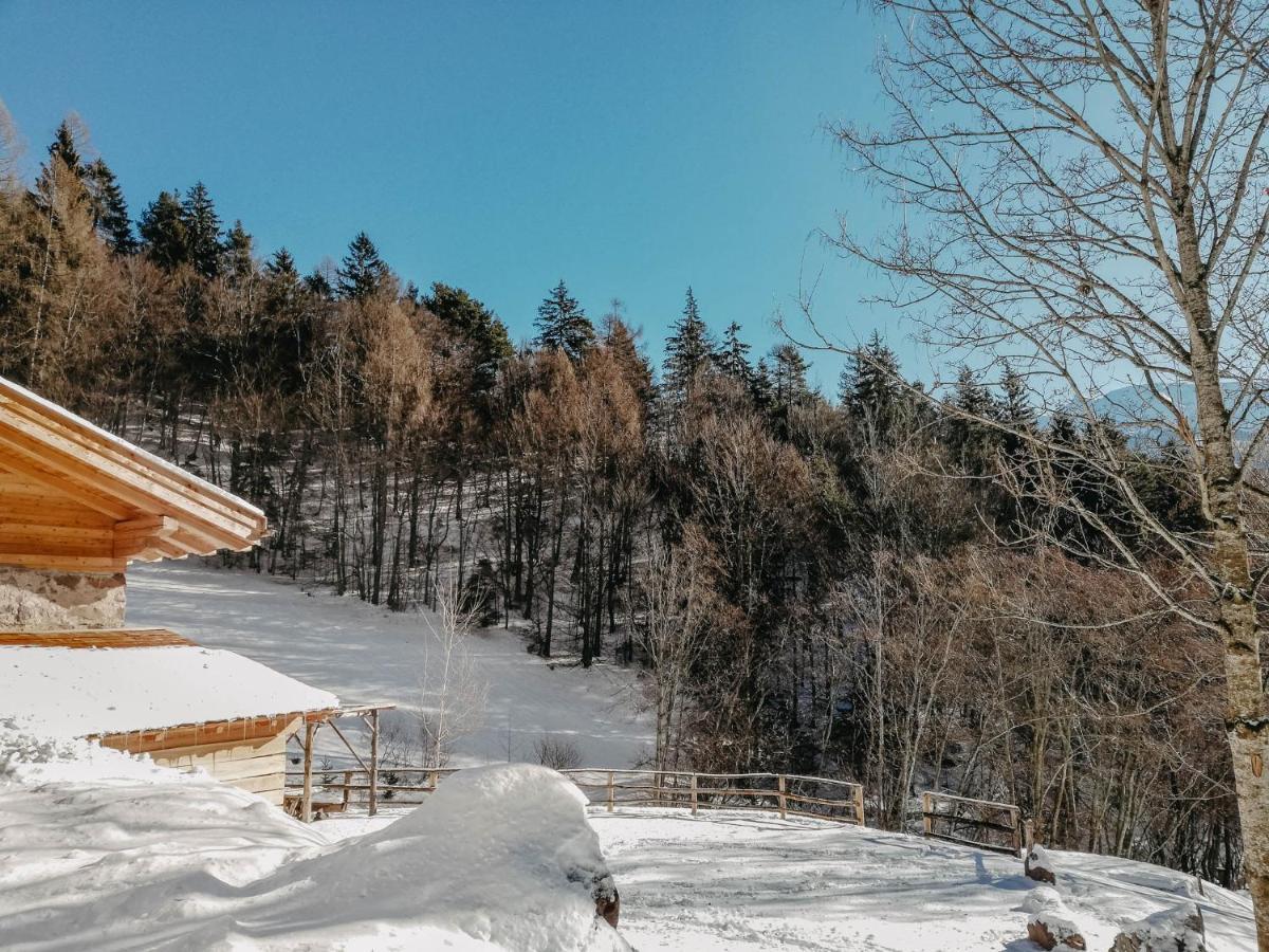 Odomi Maso Nel Bosco Βίλα Sant'Orsola Εξωτερικό φωτογραφία