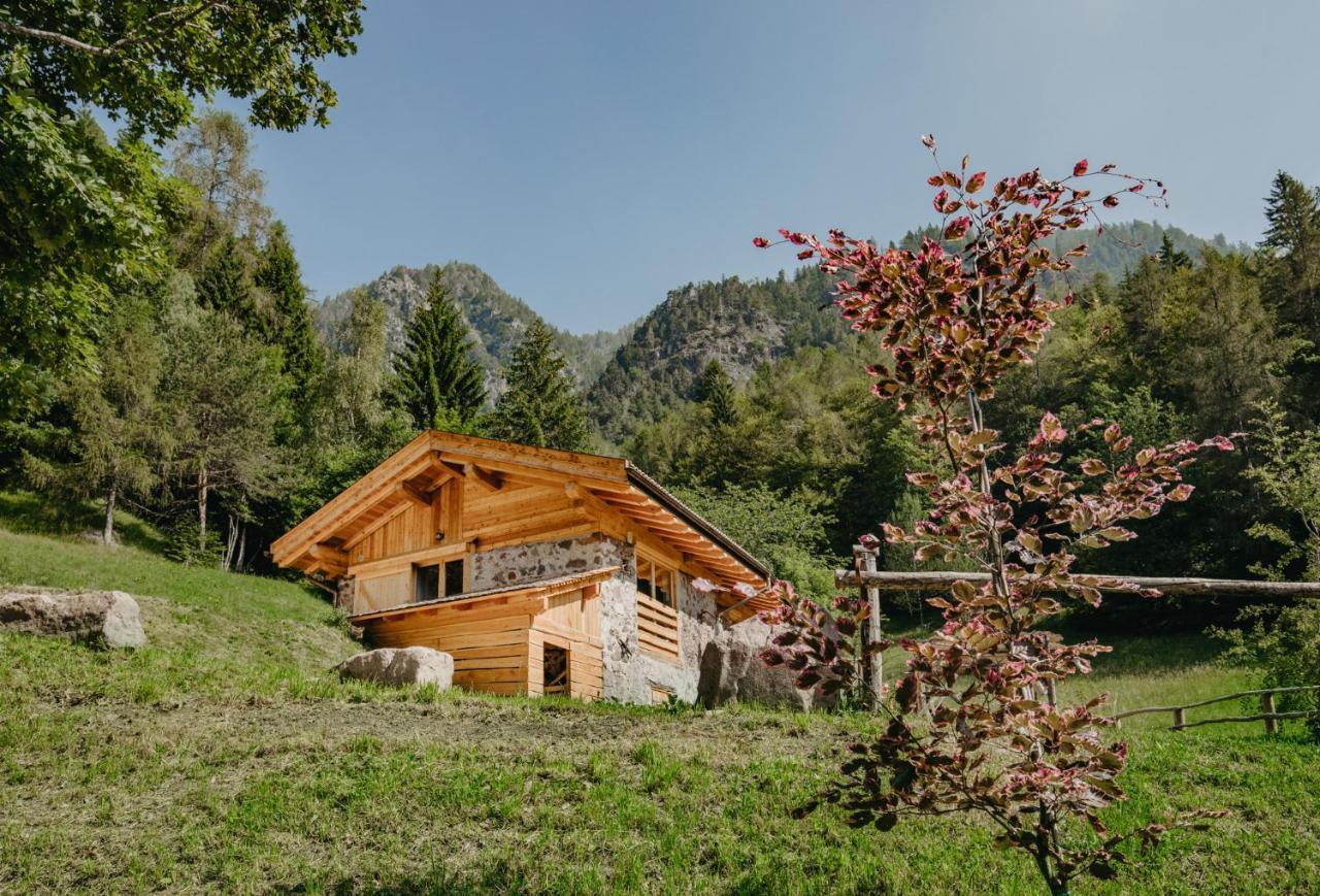 Odomi Maso Nel Bosco Βίλα Sant'Orsola Εξωτερικό φωτογραφία